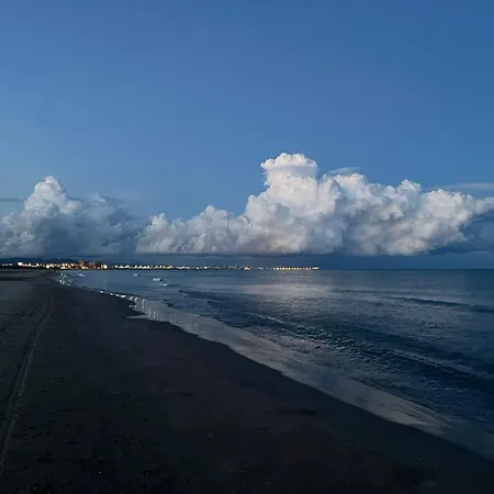 Apartament Stylish Well-connected Beachfront Flat